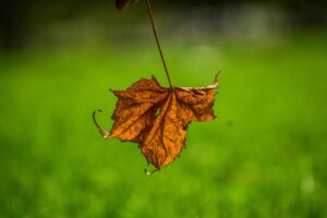 Valstybiniai brandos egzaminai (VBE)