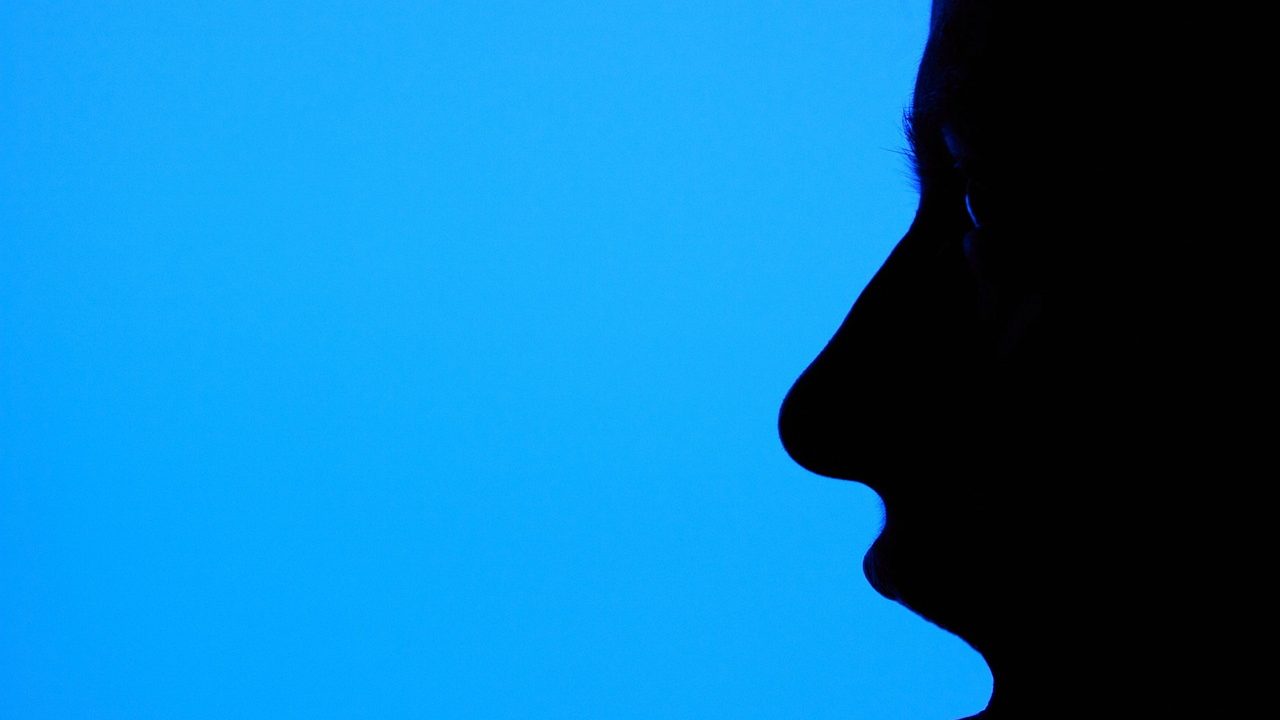 Nosies forma ir asmenybė: pasirink savo profilį iš devynių ir pažaisk savęs pažinimo žaidimą